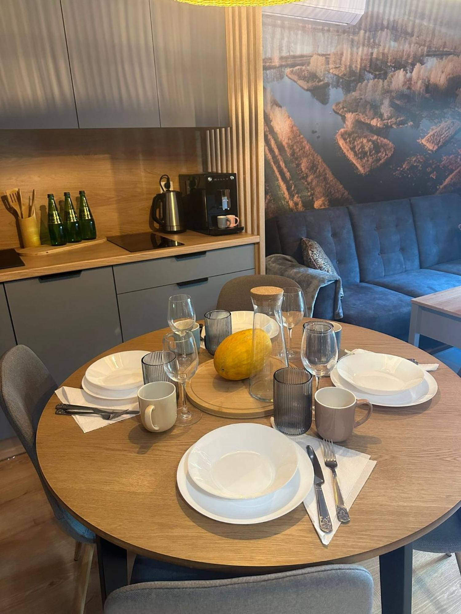 Apartament 8 Z Ogrodkiem I Prywatna Sauna, Rowery, Spacery W Dolinie Baryczy - 5D Apartamenty Milicz Buitenkant foto